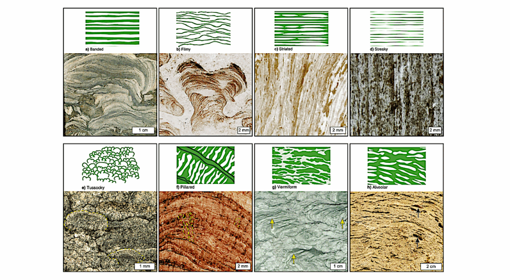Laminae Offer Insights into Ancient Microbial Life and Planetary Habitats